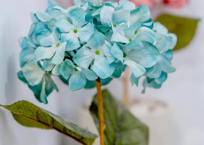 アパート Piedra Escrita *